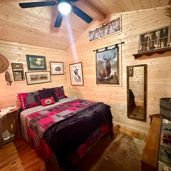 Little Bear Tiny Cabin, hotel v destinaci Cosby