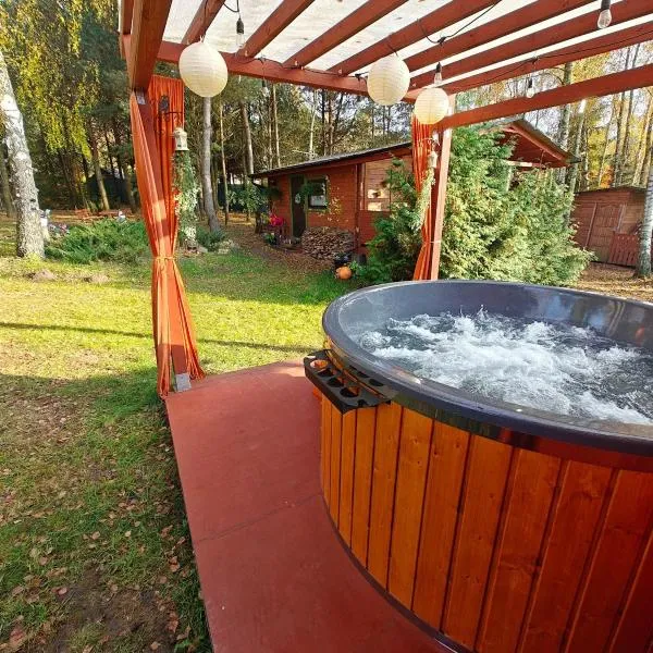 Domek nad stawem, hotel in Nowy Wiec