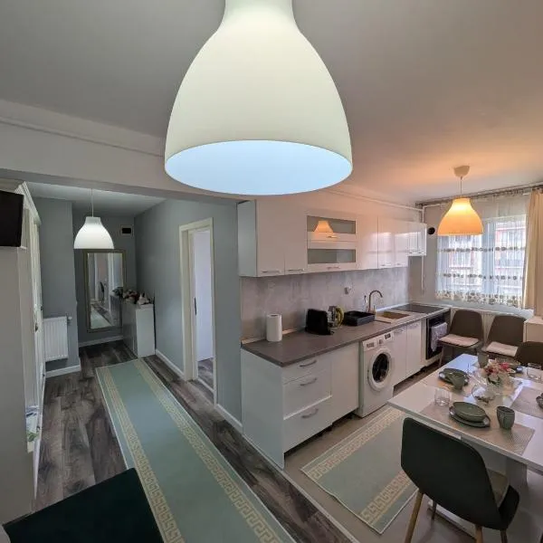Apartament spatios, mobilat si utilat complet、フロレシュティのホテル
