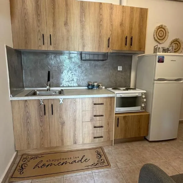 DownTown Apartment Konitsa, hotel in Konitsa