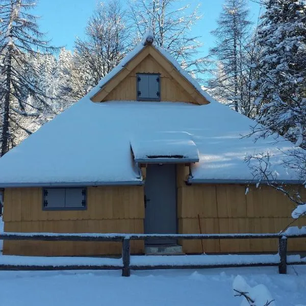 Koča Predilnica Velika Planina, hotel in Kamniška Bistrica