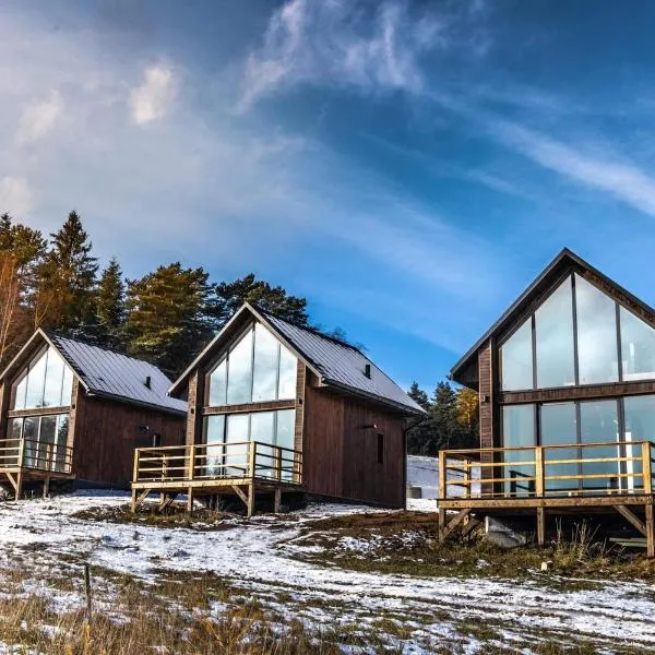 POLANA PIORUN Domki całoroczne w Beskidach, hotel in Krynica Zdrój