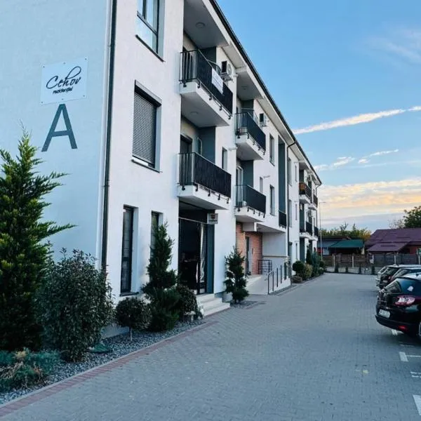 Felicia Apartments、アラドのホテル