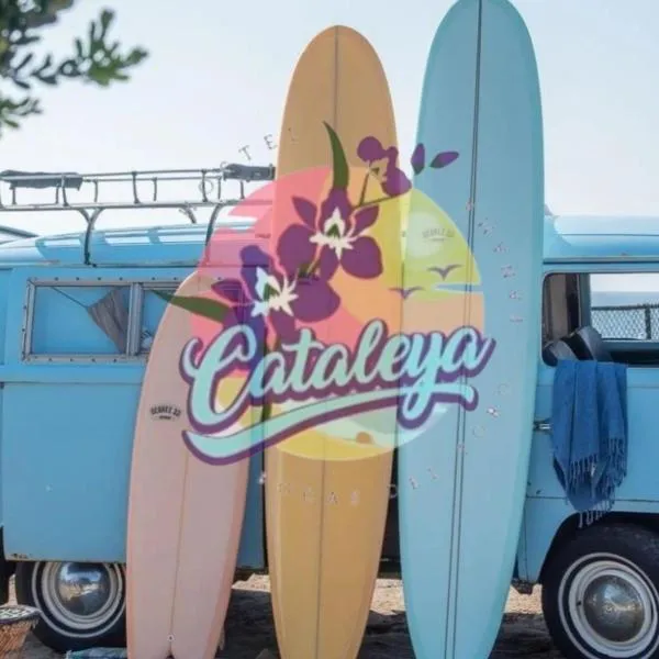 Cataleya Hostel, hotel en Bocas del Toro