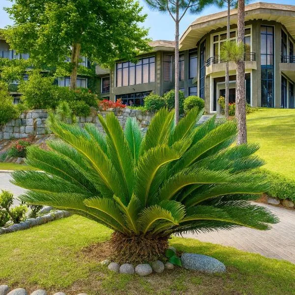 Rock City Resort, hotel in Mingora