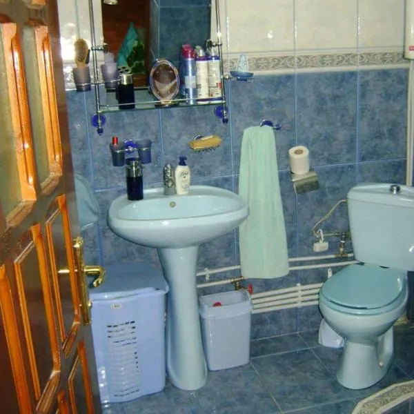 Casa de Vacanta Pravdencu、マフムディアのホテル