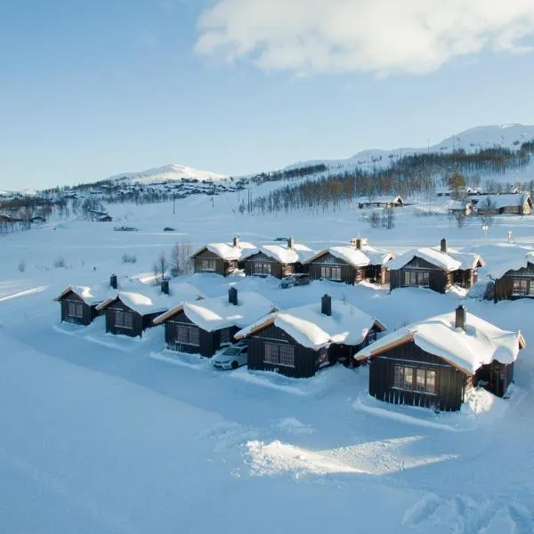 Rauland Feriesenter, hotel en Rauland