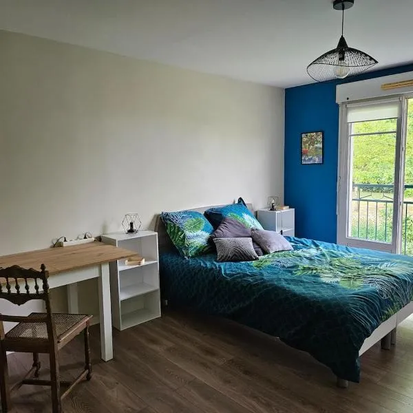 Orleans appartement 31 m2, hotel a Saint-Jean-de-la-Ruelle