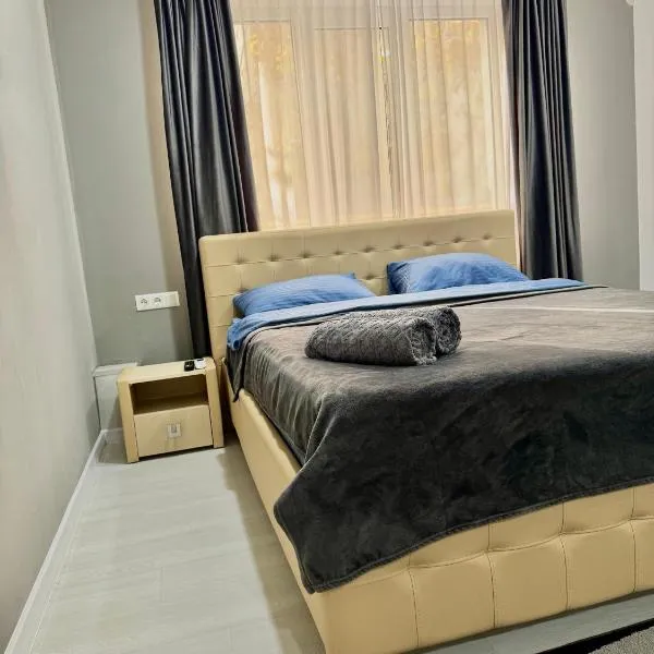 Apartament Edinet-единец、Edineţのホテル