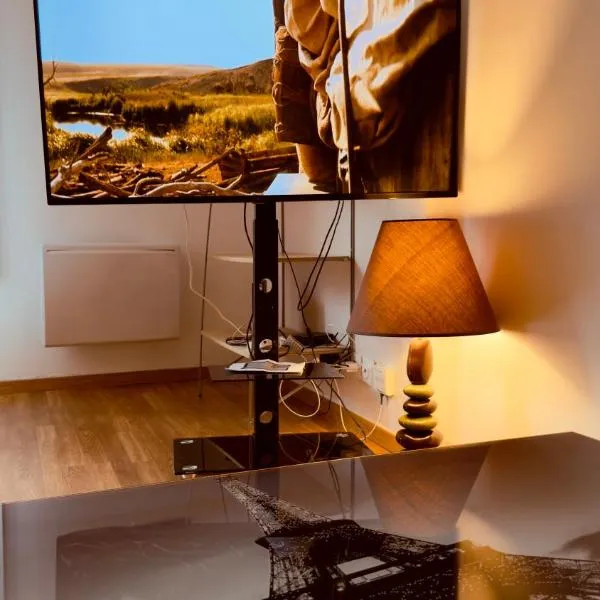 T2 tout confort avec 1 chambre TV avec canal séries netflix Dazen Bein sport apple TV OCS paramount prime vidéo, hotel in Nancy