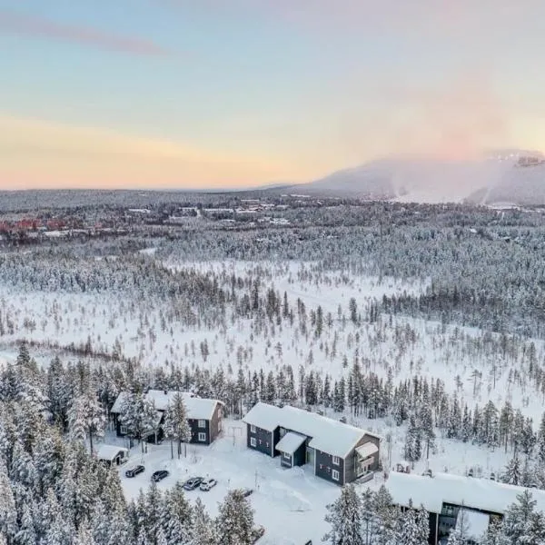 FREE downhill skiing ticket 1pcs Cozy and very peaceful place in Levi, hotel in Kittilä