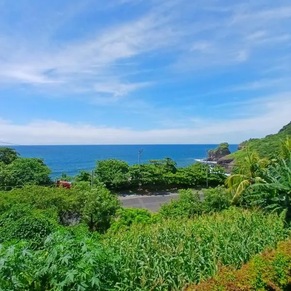 El Xalli Hotel, hotel v destinaci El Zonte