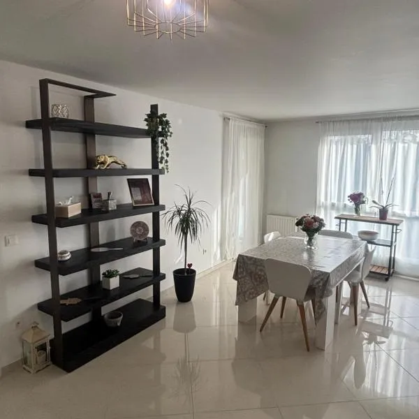 Appartement 10 mn de Paris et 5 mn du terminus Paris-Bauvais、サン・ドニのホテル