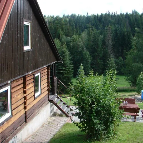 Villa Victoria, hotel in Kamesznica