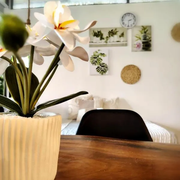Villa Buenaventura Loft, hotel v destinaci San Ramón