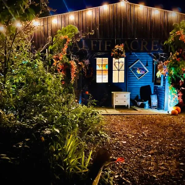 Alfie Acres - Secluded Cabin set in 5 Acres of Privacy, with Exclusive use of Swimming Pool and Hot Tub for up to 10 Guests、Downhamのホテル