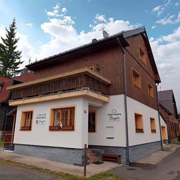 Apartments Bayer - ex Apartments Pavel, hotel v destinaci Abertamy