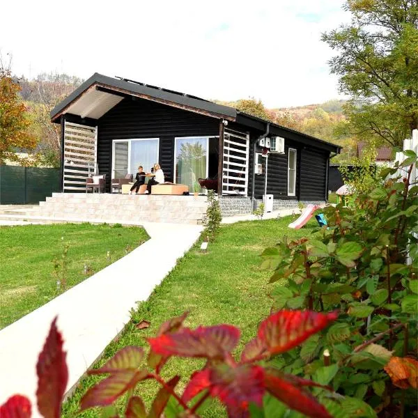 Cabana EvAy, hotel in Ocnele Mari