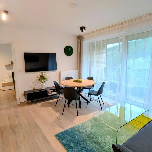 Bike & Ski MOSS Apartment, hotel in Dolní Morava