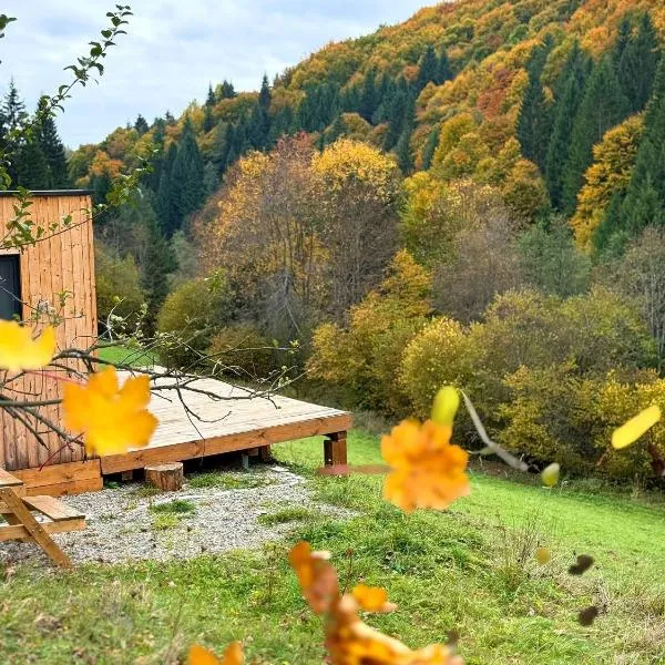 Domček Lazy, hotel in Lazy pod Makytou