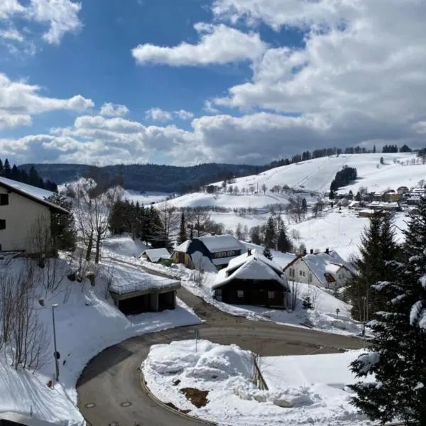 Fewo Herzgrün - zu Fuß zu Lift & Loipe traumhafte Aussicht mit Sauna im Haus Tiefgarage E-Ladestation、トートナウベルクのホテル