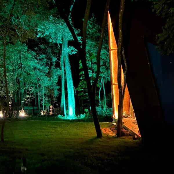 Tree of Life Chalet - Foto 5