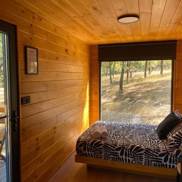 El Roble Glamping - Cabaña Container - Pet Friendly, hotel in Lagunilla