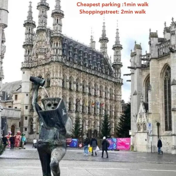 Cosy Boutique hotel leuven - self check in with airco !!!, hotel in Leuven