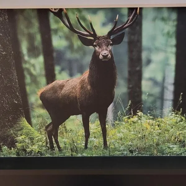 Chalet 111 Durbuy, hotell i Durbuy