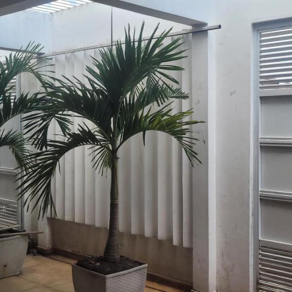 Casa para Cop30