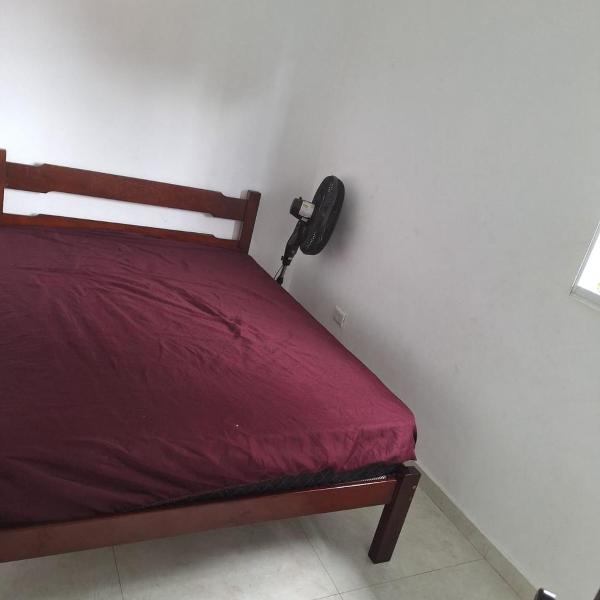 cocanha AP - Foto 2