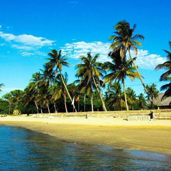 Projeto ajuda o seu próximo - Foto 4
