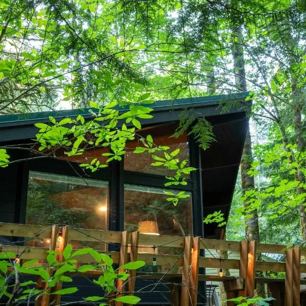 Mid-century Cabin Hideaway - Hot Tub & Fire Pit, Hotel in Rhododendron