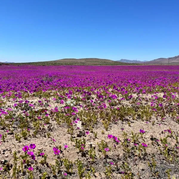 Departamento en Bahía Inglesa full equipado - Wifi y cable, hotel in Bahia Inglesa