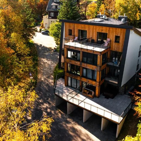 Wonder Home - Orlik Residence - blisko Ski Arena, Kościółka Wang i szlaków, ξενοδοχείο σε Karpacz