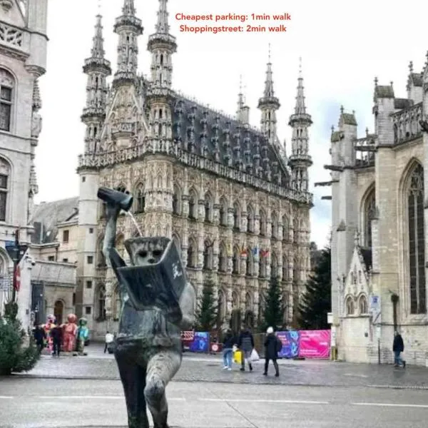 Cosy Boutique hotel leuven - self check in with airco !!!, hotel v destinaci Lovaň