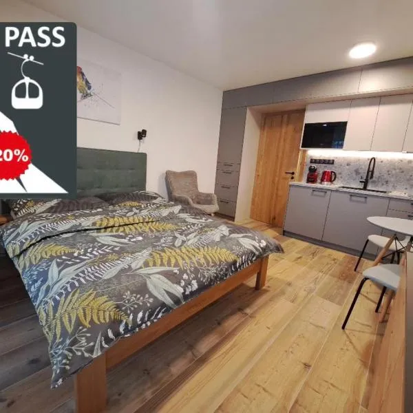 Modern Alpine Apartment Corso Harrachov, ξενοδοχείο σε Harrachov