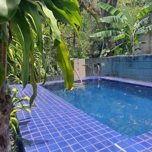 Nature and Comfort in Rio - Foto 4