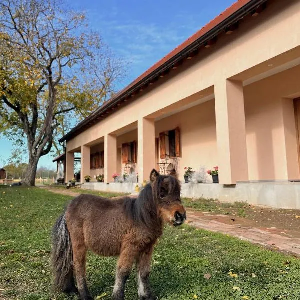 Seoski turizam Jagodić, hotel in Gorjani