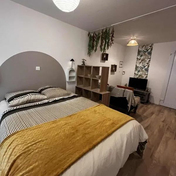 Studio cosy dans le cœur de Castelsarrasin, hotel a Castelsarrasin