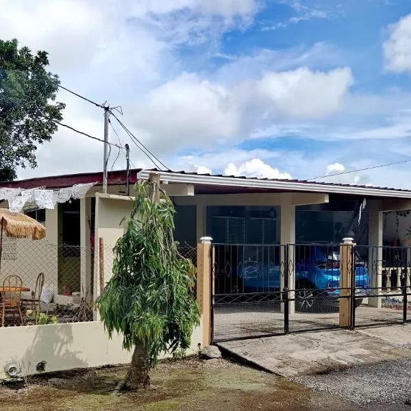 Penny House Hostal, hotel in David