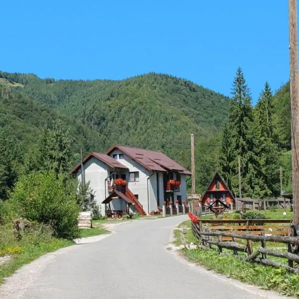 Cabana Acasă la Delia, hotel u gradu Garda de Sus