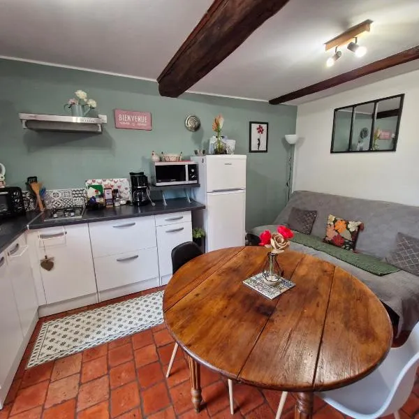 Studio Bienvenue du côté de chez nous avec jardin privatif, hotel a Wignehies