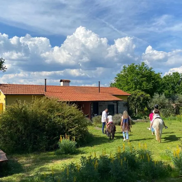 Casa Das Palmeiras-Pedagogic Farm, khách sạn ở Mangualde