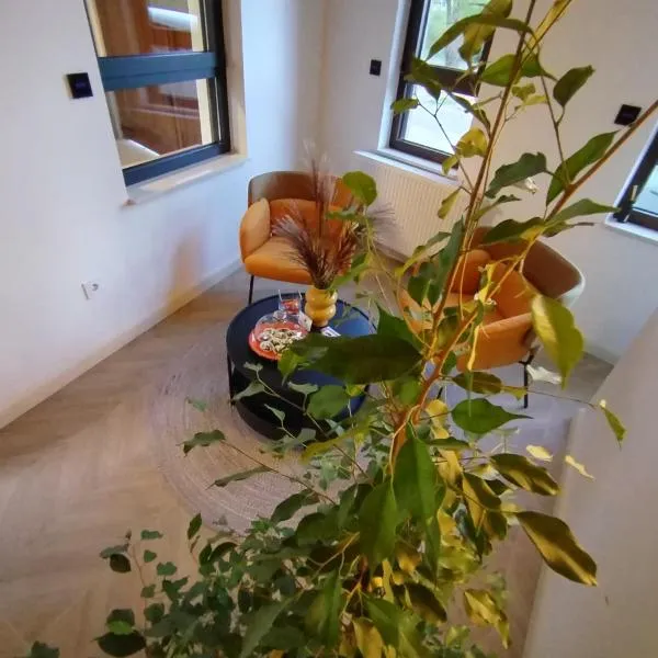 Vila Karlovčanka smeštaj u centru Sremskih Karlovaca, hotel in Sremski Karlovci