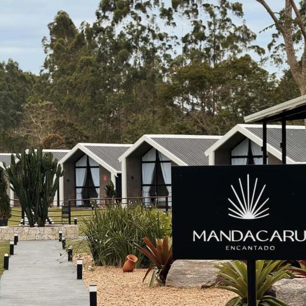 Mandacaru Encantado