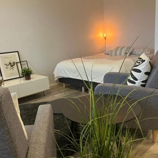 Ihastuttava yksiö loistopaikalla, hotel v destinaci Rauma