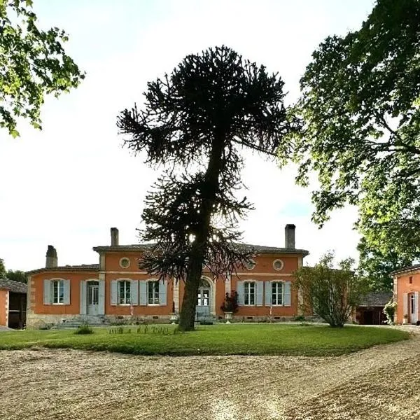 Chateau Ciers, hotel en Saint-Ciers-sur-Gironde