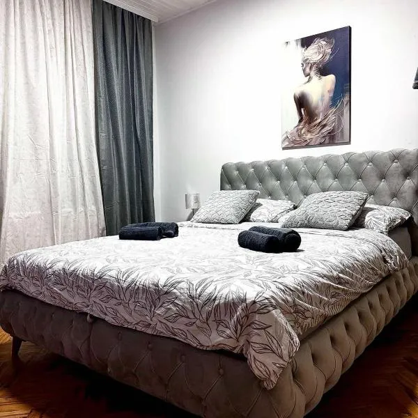 NeNa Apartmani - Ruma、ルマのホテル