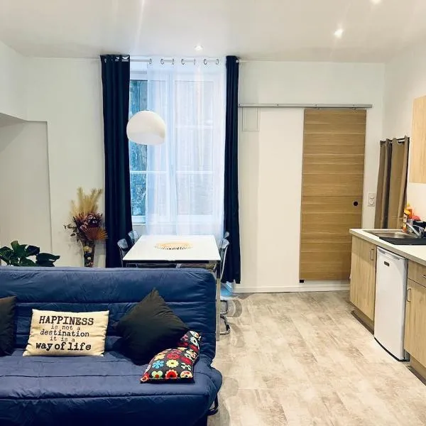 Studio Riom de Coeur, hotel u gradu Riom